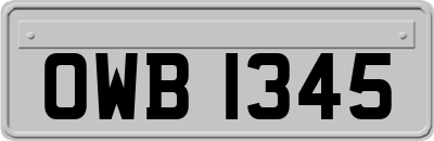 OWB1345