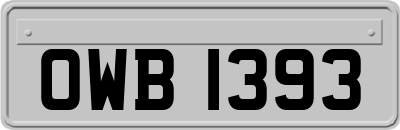 OWB1393