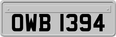 OWB1394