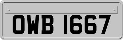 OWB1667