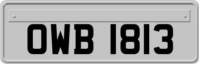 OWB1813
