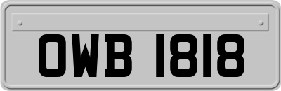 OWB1818