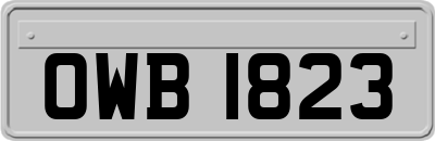 OWB1823