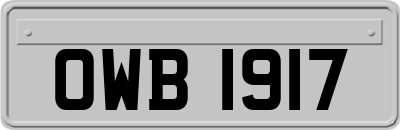OWB1917