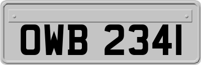OWB2341