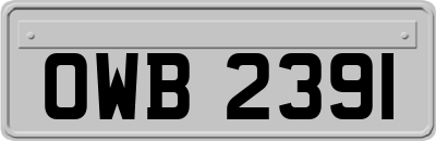 OWB2391