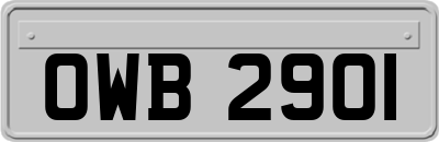 OWB2901