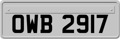 OWB2917