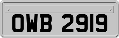 OWB2919
