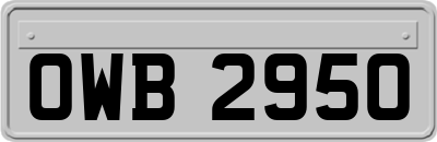 OWB2950