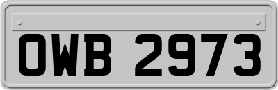 OWB2973