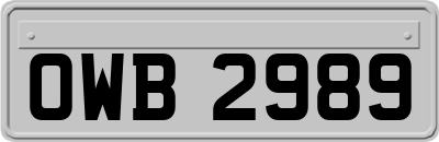 OWB2989