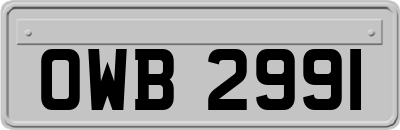 OWB2991