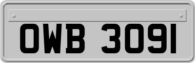 OWB3091