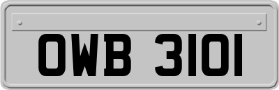 OWB3101