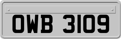 OWB3109