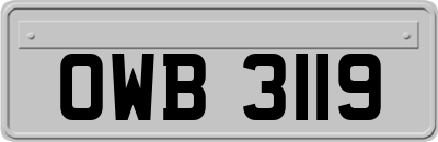 OWB3119