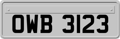 OWB3123