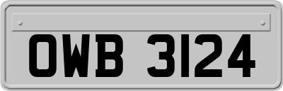 OWB3124