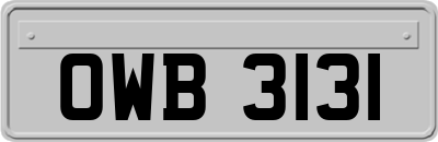 OWB3131