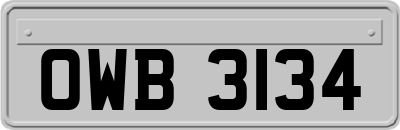 OWB3134