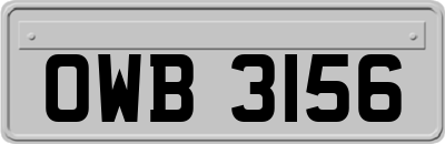 OWB3156
