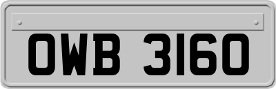 OWB3160