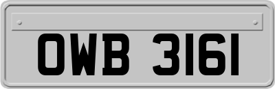 OWB3161