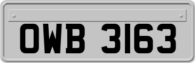 OWB3163