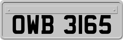 OWB3165