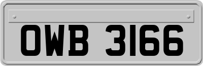 OWB3166