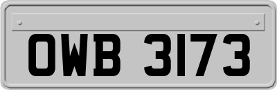OWB3173