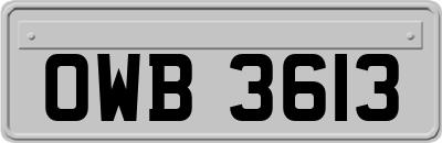 OWB3613