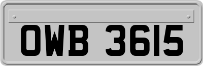 OWB3615