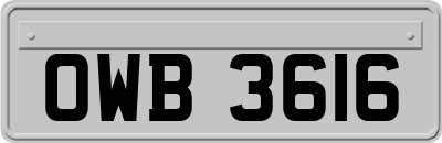 OWB3616