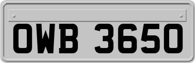 OWB3650