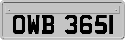 OWB3651