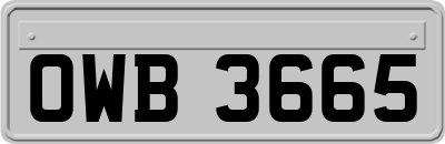 OWB3665
