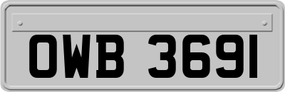 OWB3691