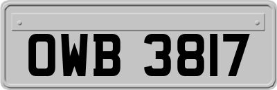 OWB3817
