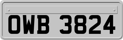 OWB3824