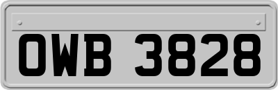 OWB3828