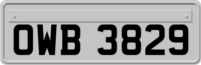 OWB3829