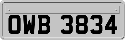 OWB3834