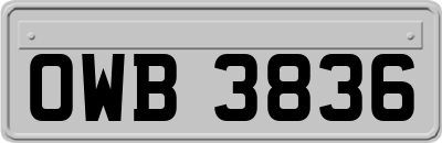 OWB3836