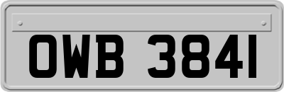 OWB3841