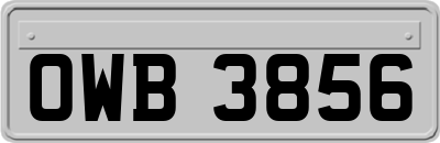 OWB3856