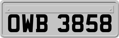 OWB3858
