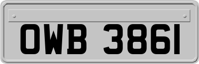 OWB3861