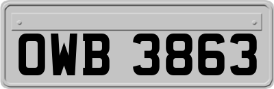 OWB3863